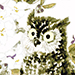Eiichi Kotozuka Gallery